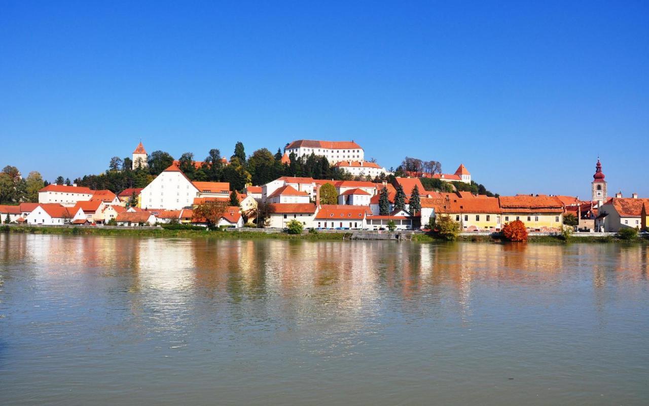 Sobe Grabar Bed & Breakfast Ptuj Bagian luar foto